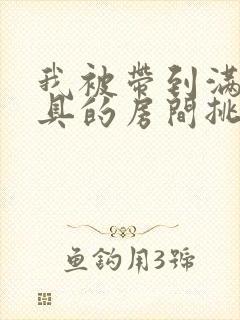 我被带到满是玩具的房间挑调作文