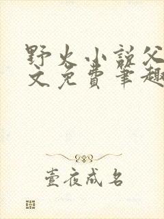 野火小说父女全文免费笔趣阁