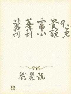 荣华富贵9小王莉莉小说免费阅读