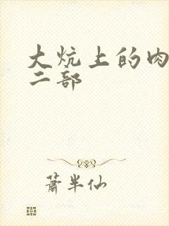 大炕上的肉伦第二部