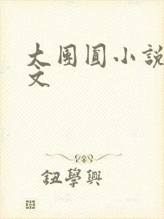 大团圆小说集全文