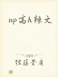 np高h辣文