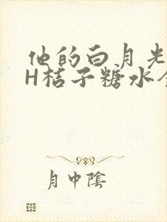 他的白月光HVH桔子糖水全文