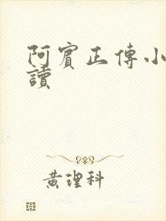 阿宾正传小说在读