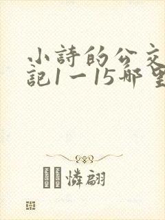 小诗的公交车日记1一15哪里能看