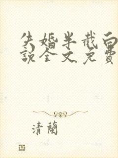 失婚半截白菜小说全文免费阅读封面