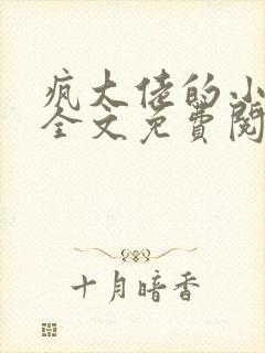 疯大佬的小玩物全文免费阅读小说