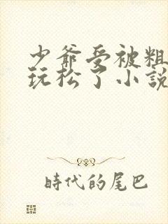 少爷受被粗汉H玩松了小说