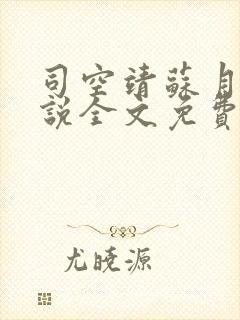 司空靖苏月汐小说全文免费阅读封面