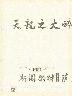 天龙之大醉侠