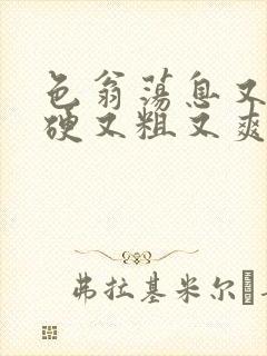 色翁荡息又大又硬又粗又爽电影