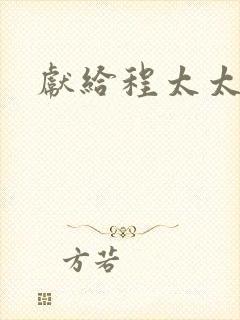 献给程太太封面