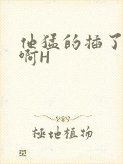 他猛的插了进去啊H