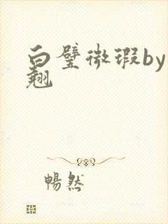 白璧微瑕by连翘