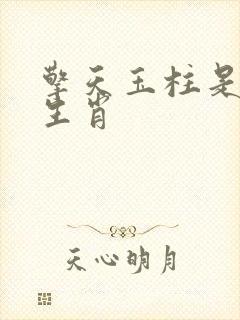 擎天玉柱是什么生肖