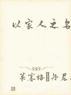 以家人之名小说