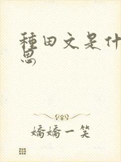 种田文是什么意思