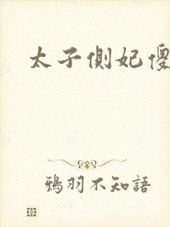 太子侧妃傻乎乎