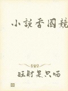 小说香国竞艳