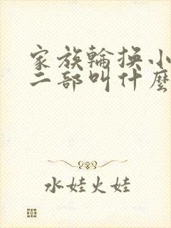 家族轮换小说第二部叫什么名字封面