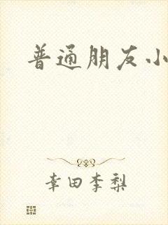 普通朋友小说