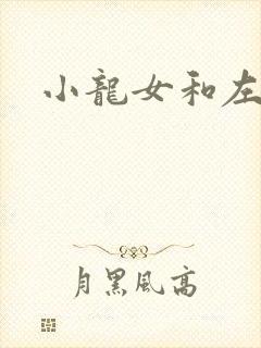 小龙女和左剑清