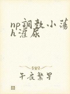 np调教小荡货h灌尿