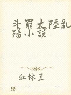 斗罗大陆乱世浮殇小说封面