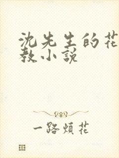 沈先生的花式管教小说