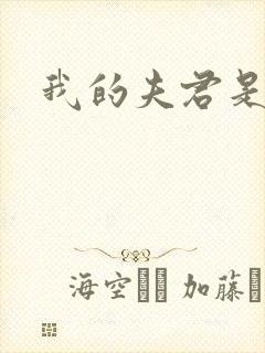 我的夫君是冥王