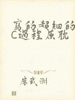 写的超细的多肉C过程原耽