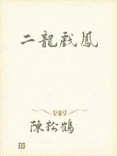二龙戏凤