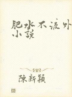 《肥水不流外人田小说》小说封面