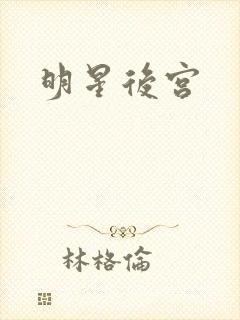 明星后宫