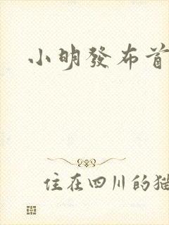 小明发布首页封面