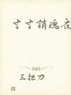 寸寸销魂夜春光