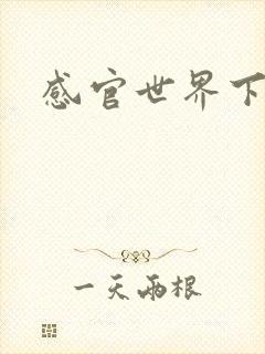 感官世界下载封面