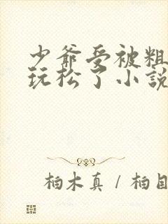 少爷受被粗汉H玩松了小说