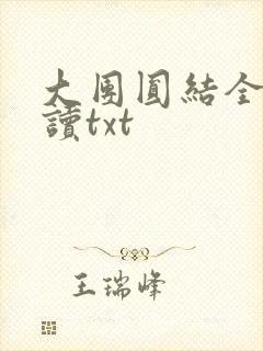 大团圆结全文阅读txt