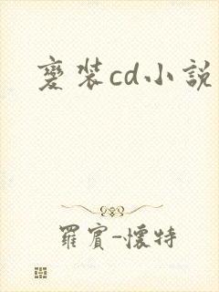 变装cd小说封面