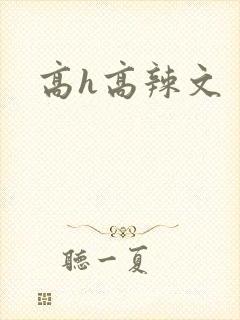 高h高辣文