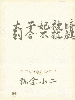 太子妃被暗卫C到合不拢腿