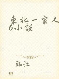 东北一家人1一6小说