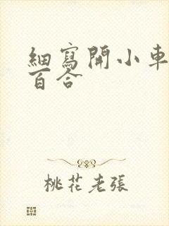 细写开小车车的百合