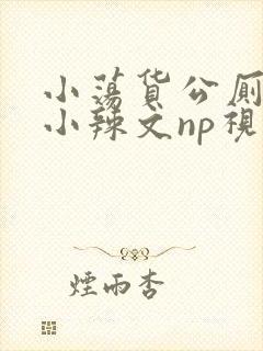 小荡货公厕h文小辣文np视频