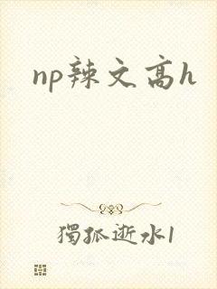 np辣文高h