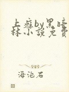 上瘾by黑暗森林小说免费