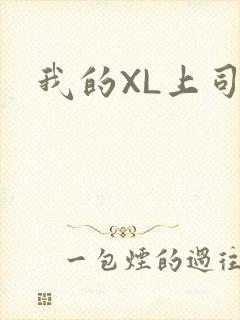 我的XL上司