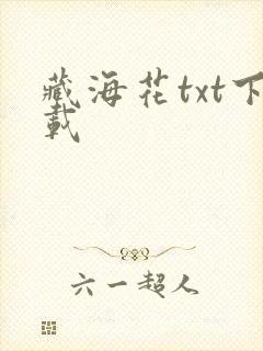 藏海花txt下载