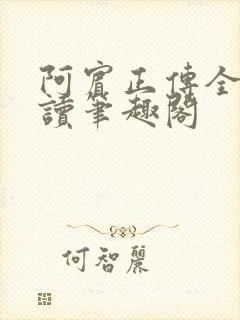 阿宾正传全文阅读笔趣阁